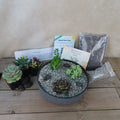 Front view of 3 Succulent Concrete Capri DIY Kit showcasing succulents in concrete Capri bowl with soil, rocks, and instructions