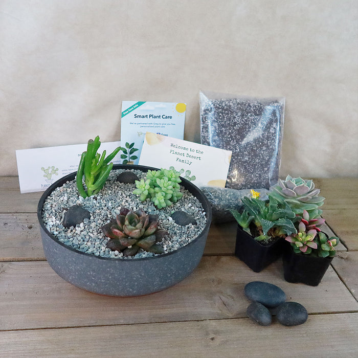 Front view of 3 Succulent Concrete Capri DIY Kit showcasing a planted concrete bowl and kit materials on a wooden surface