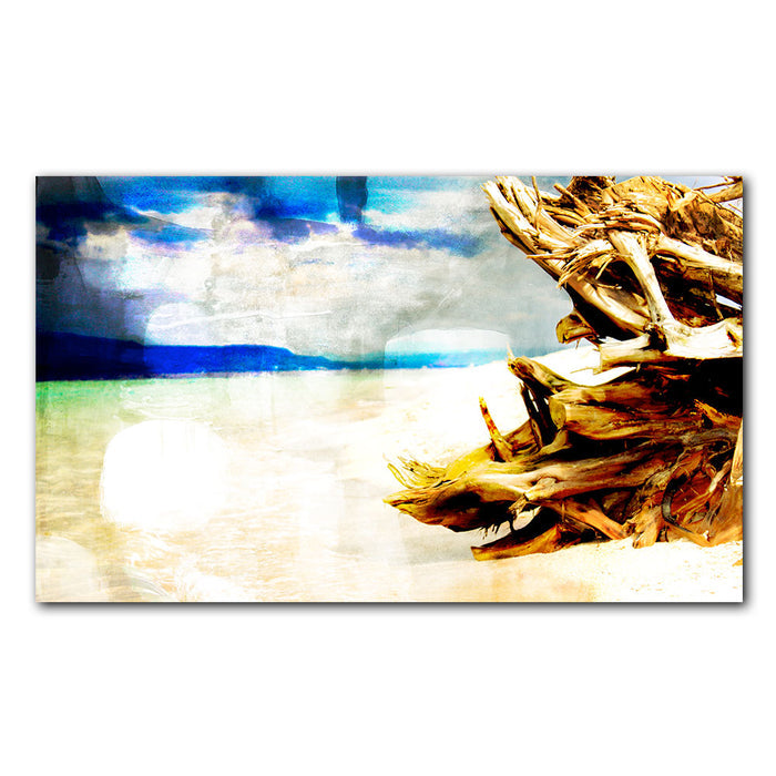 'Beach Debris' Wrapped Canvas Wall Art