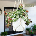 6" Pot / White Pot