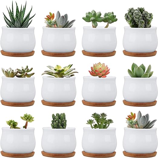 Twelve ceramic flower pots with drainage and bamboo trays, perfect for cactus or succulents, arranged neatly on a white background.