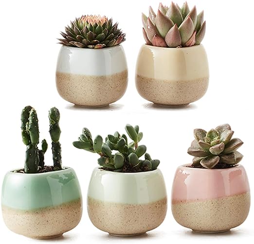 Front view of Ceramic Succulent Planter with Flowing Glaze showing five colorful pots with cacti and succulents