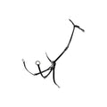 Equestro tanned leather fork hunting breastplate - HorseworldEU