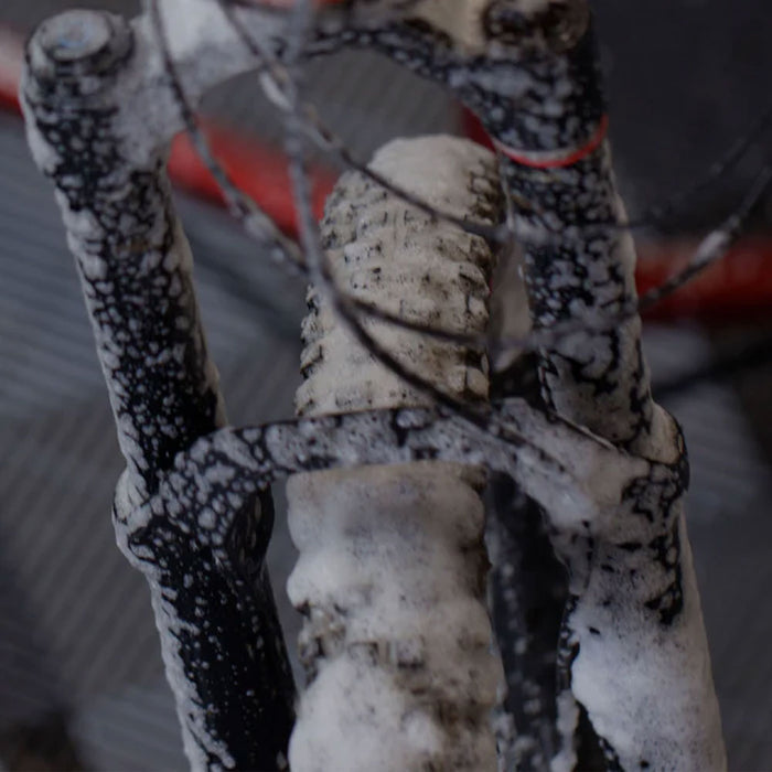 Formula 100 Clean Machine Bike Wash