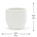 White hexagonal ceramic planter with a matte finish, featuring a modern geometric design that complements contemporary home decor.