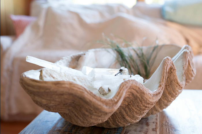 Magnesia Seashell Decor