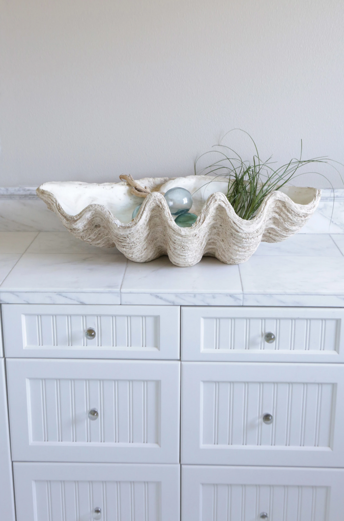 Magnesia Seashell Decor