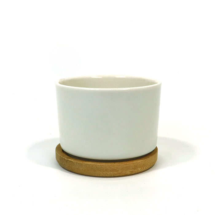 Mini White Ceramic Cactus Planter with Drainage Hole and Bamboo Tray