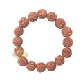 Natural Bracelet Jenitri Rudraksha Seed 16 mm with 16 Beads On Black Elastic Cord Unisex