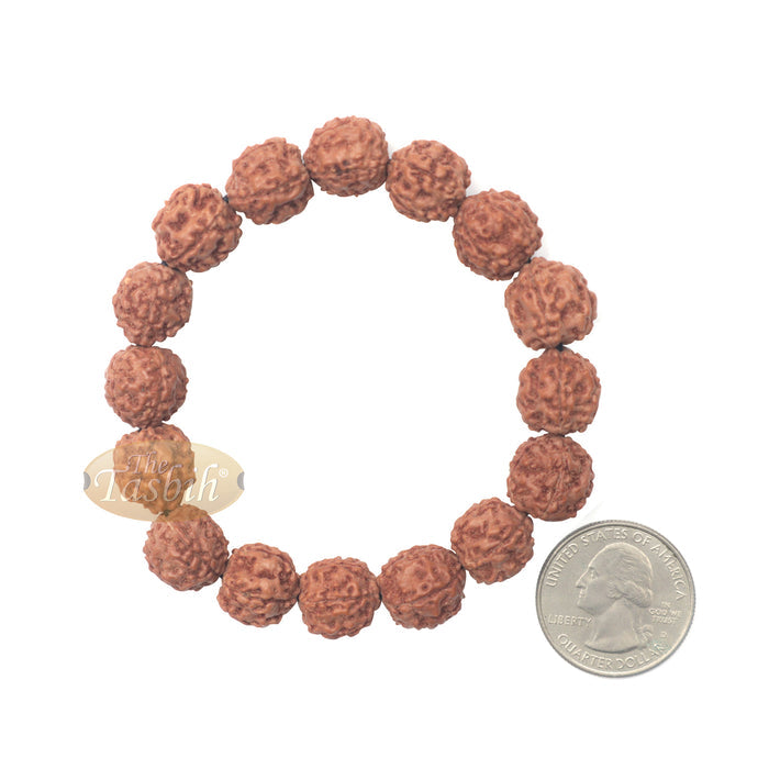 Natural Bracelet Jenitri Rudraksha Seed 16 mm with 16 Beads On Black Elastic Cord Unisex