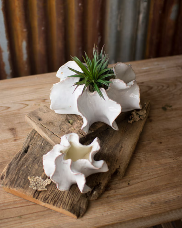 Organic Ceramic Planter