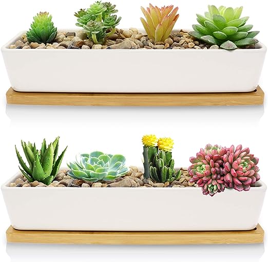 Two front views of a white ceramic succulent planter with bamboo saucer, filled with assorted succulents