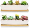 Two front views of a white ceramic succulent planter with bamboo saucer, filled with assorted succulents