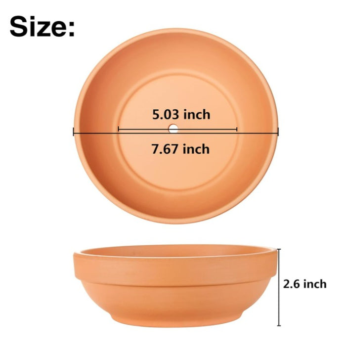 Terra cotta clay planter with drainage holes, shown from top and side, ideal for displaying cacti or succulents.