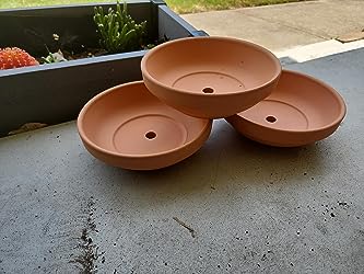 A set of terra cotta pots for cactus and succulents, featuring drainage holes, arranged on a concrete surface.
